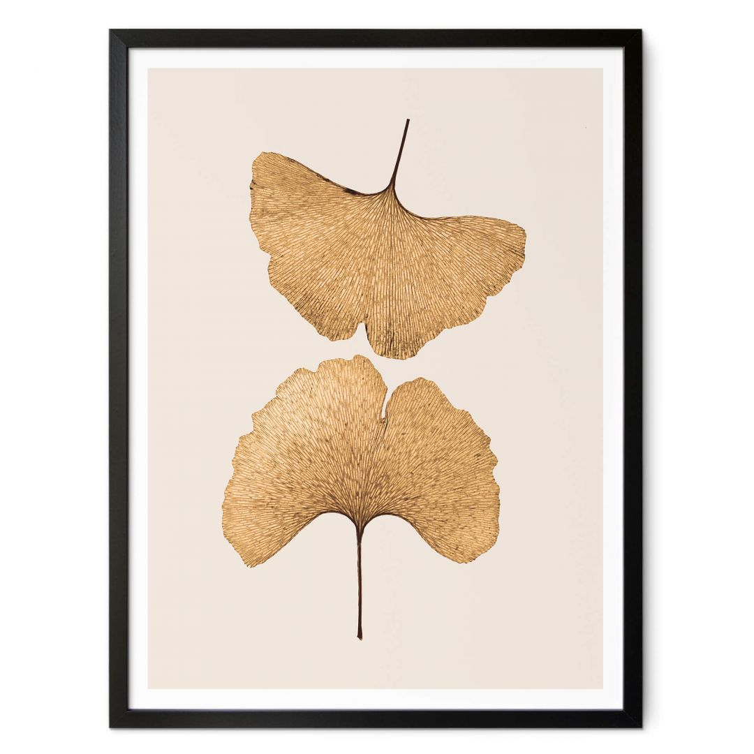 Poster Lenka - Ginkgo