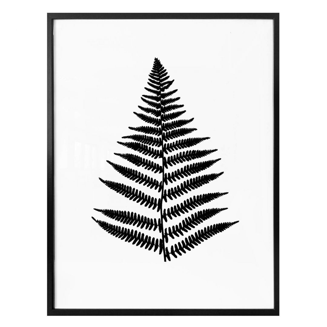 Poster Farn - trenddeko.ch