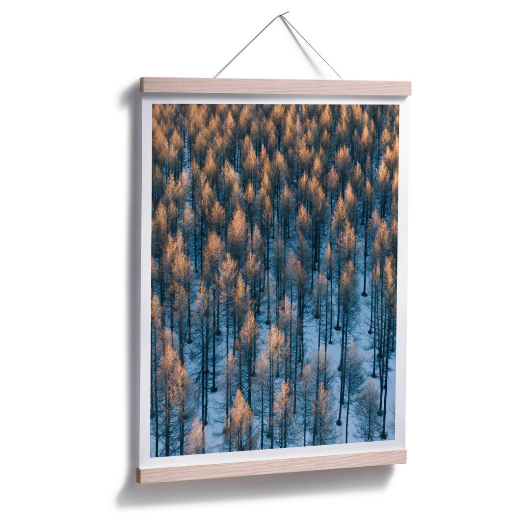 Poster Bingo Sonnenaufgang Im Wald Trenddeko Ch