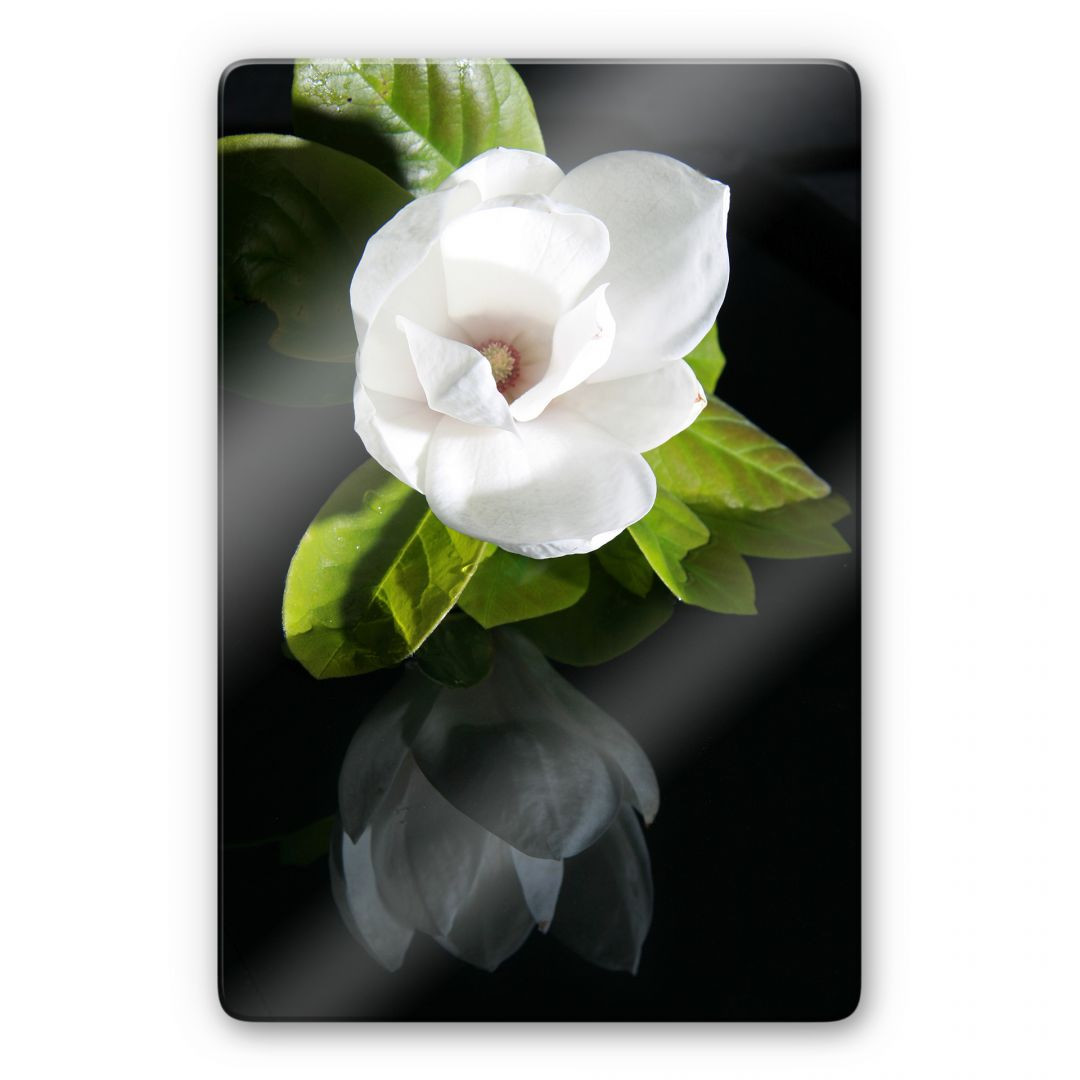 Glasbild Orchideengarten - trenddeko.ch