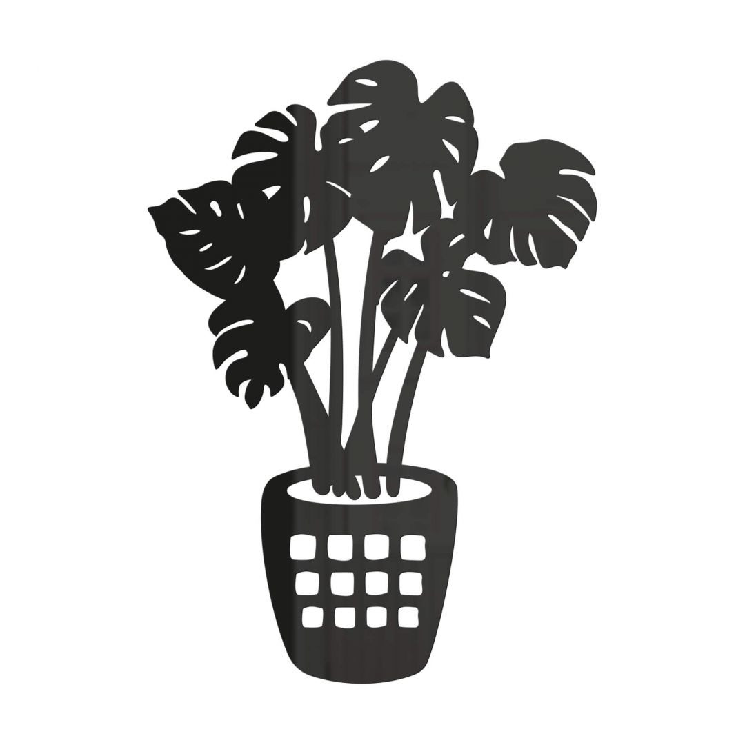 monkey monstera kaufen Kaufen Sie jetzt Zimmerpflanze Fensterblatt Monstera 'Monkey Leaf' - Bio