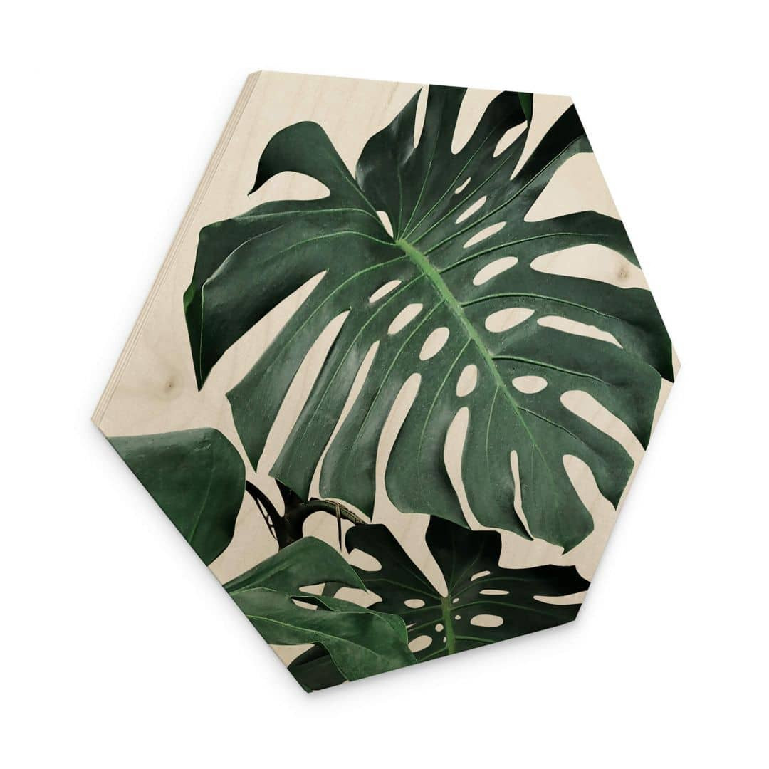 Hexagon - Holz Sisi & Seb - Monstera - trenddeko.ch