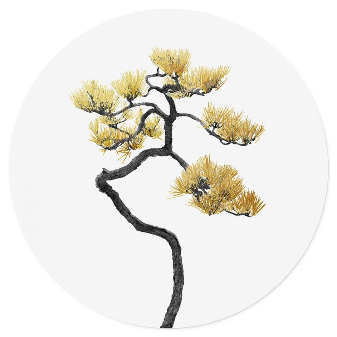 Wandtattoo Bonsai in Balance - Amini - Rund