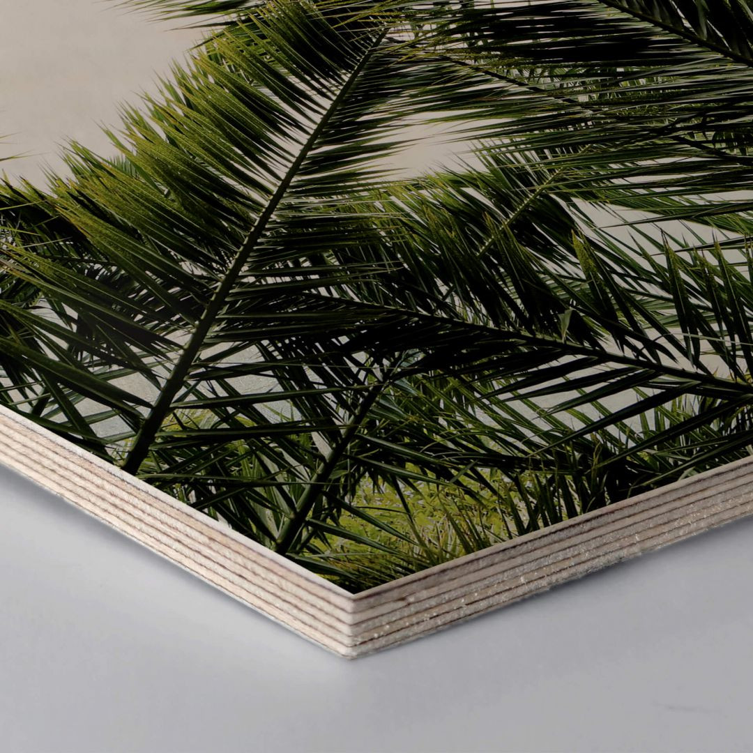 Hexagon Holz Birke Furnier Dattelpalme Trenddeko Ch