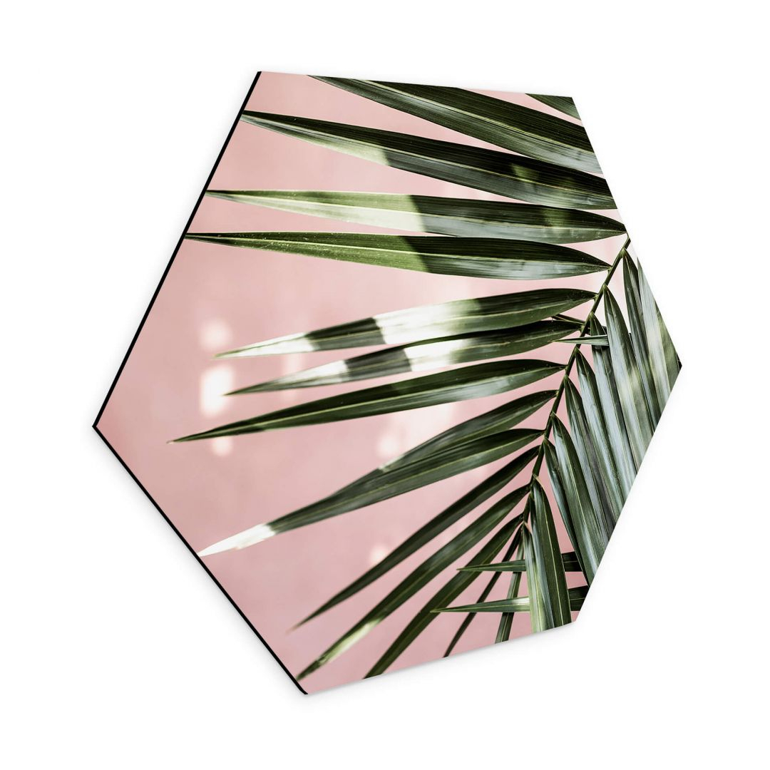 Hexagon - Alu-Dibond Palmenblatt vor rosa Wand - Böhmer