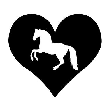 Creative Converting 'Herz My Horse' Geburtstags-Banner – Pferde-Design Mit Band, 213 Cm Lang, Perfekt Für Pferdeliebhaber-Partys