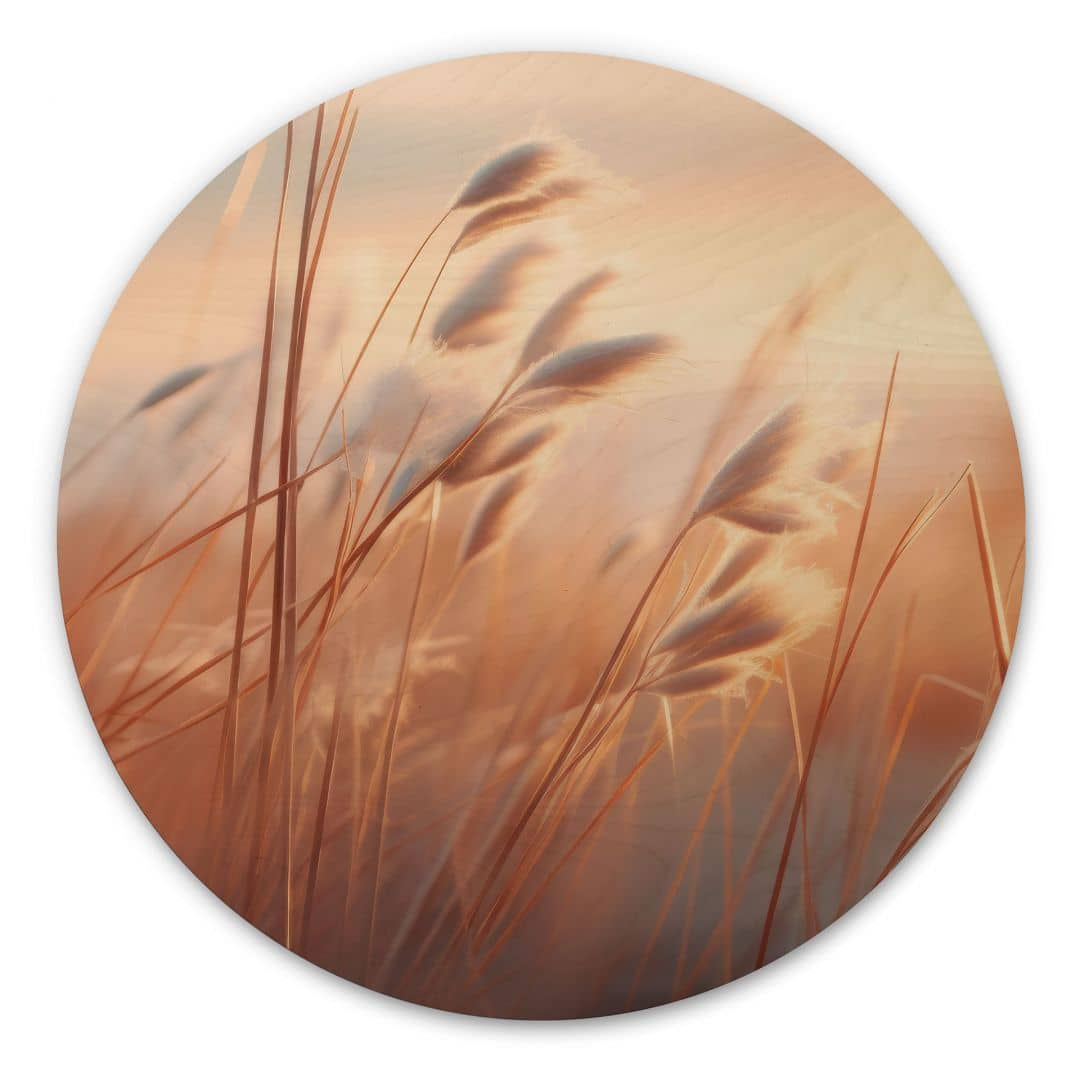 Holzbild Dünengras in der Abendsonne - Treechild - Rund