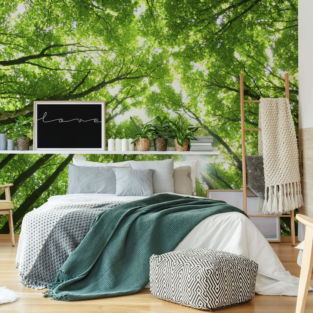 Fototapete Baumkronen im Wald