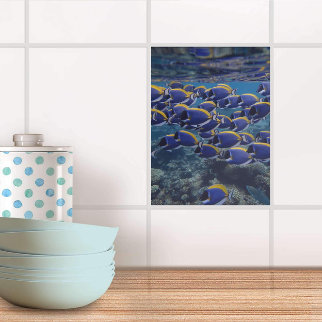 Fliesensticker - Fish swarm