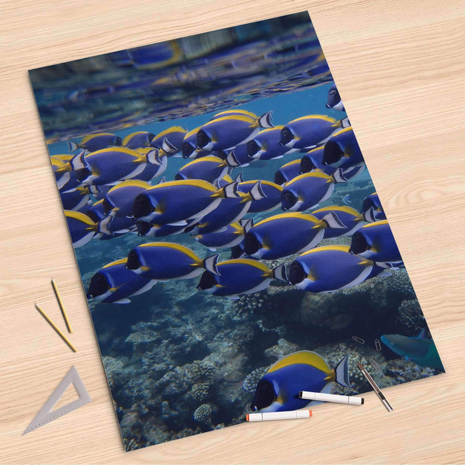 Folienbogen (80x120cm) - Fish swarm- Bild 1