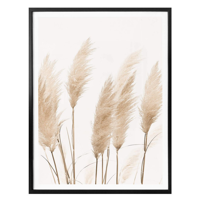 Poster Sisi & Seb - Pampas