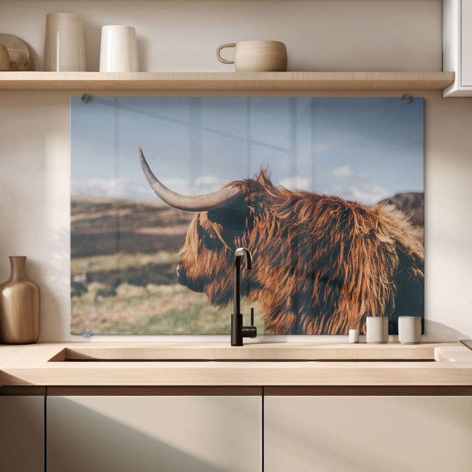 Spritzschutz - Highland Cow 02
