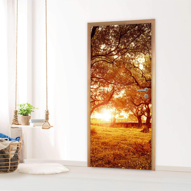 Türfolie - Tree Sunlight