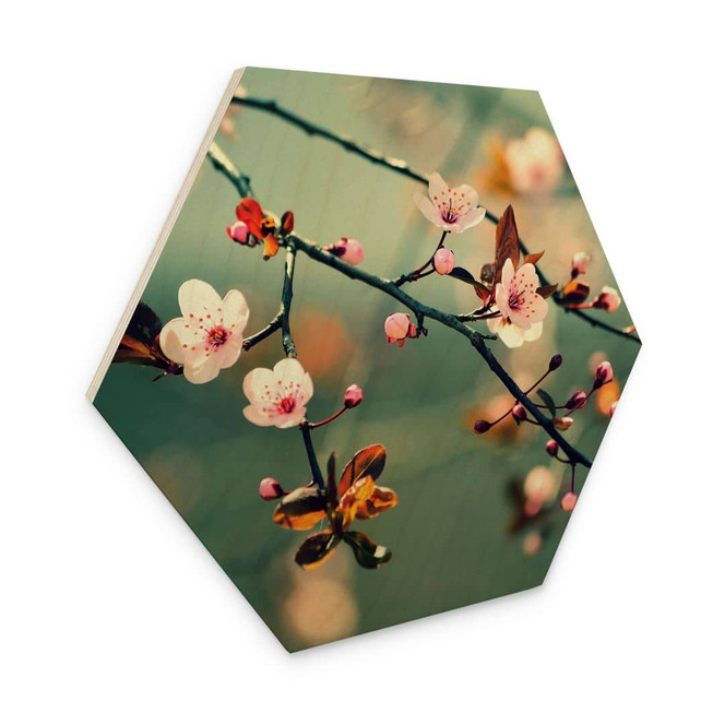 Hexagon Holzbild Frühlingserwachen
