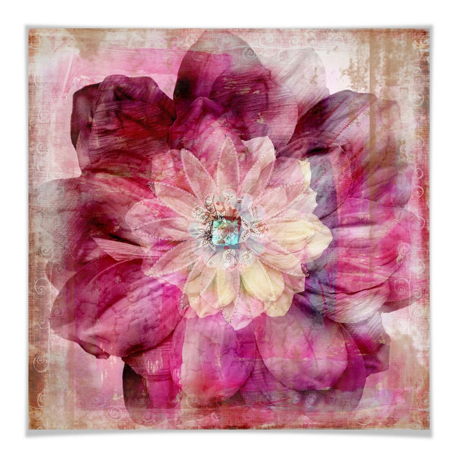 Poster Pink Peony