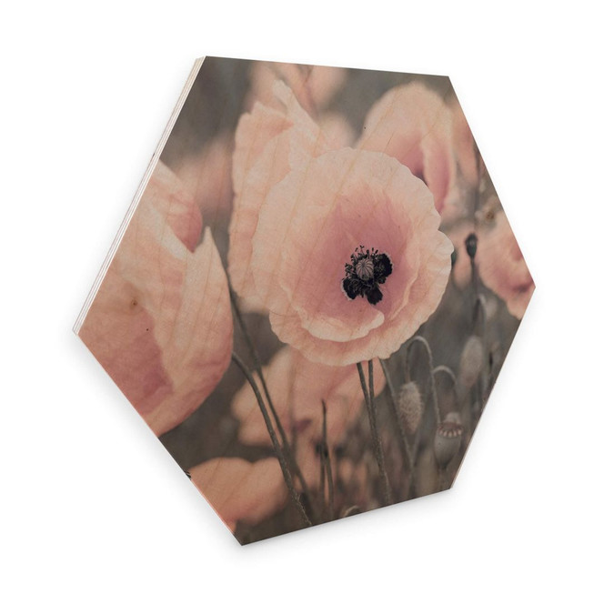 Hexagon - Holz Birke-Furnier Delgado – Rosa Mohnblume