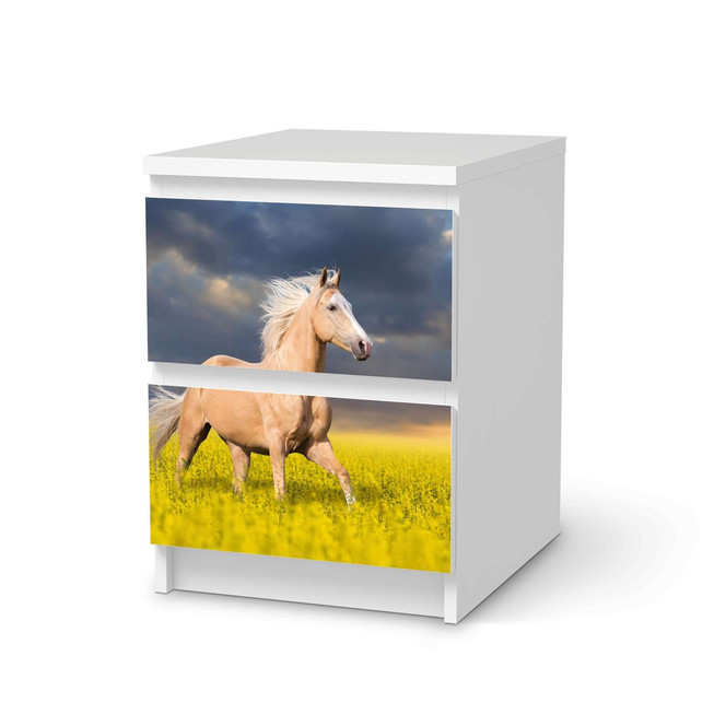 Möbelfolie IKEA Malm Kommode 2 Schubladen - Wildpferd- Bild 1