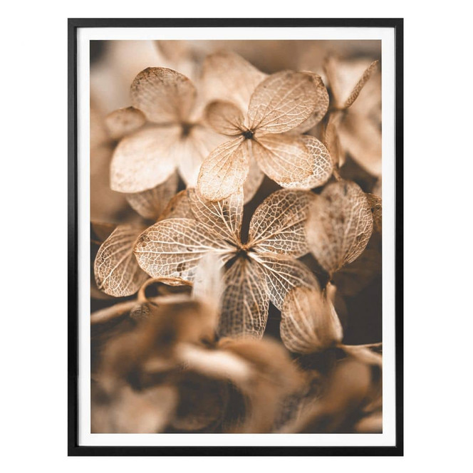 Poster Annie - Zarte Blüten