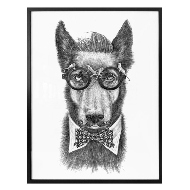 Poster Kools - Docga Bowie