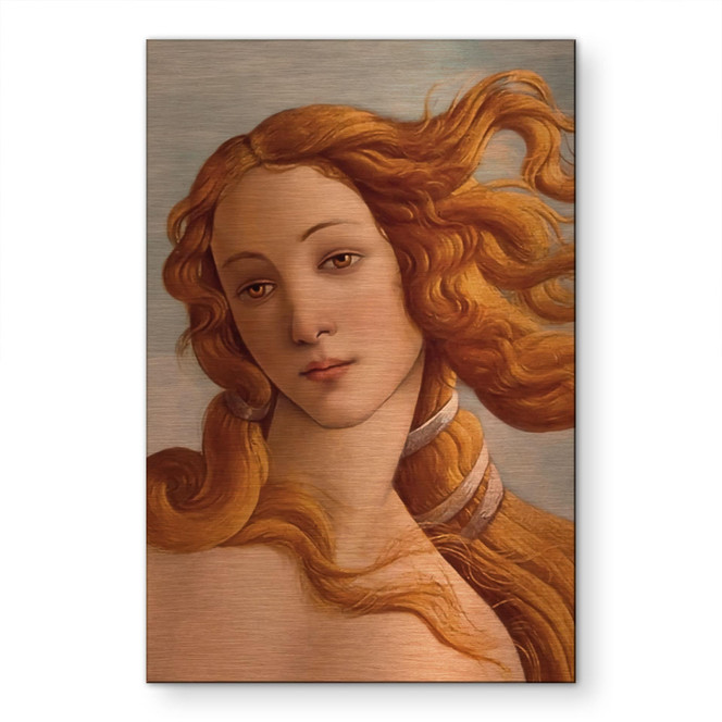 Alu-Dibond gebürstet mit Kupfereffekt - Portrait der Venus - Botticelli