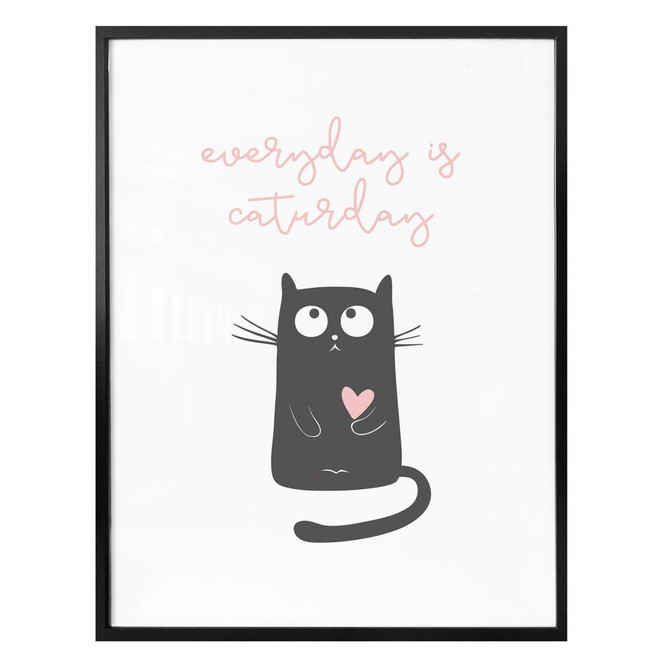 Poster - Everyday is caturday