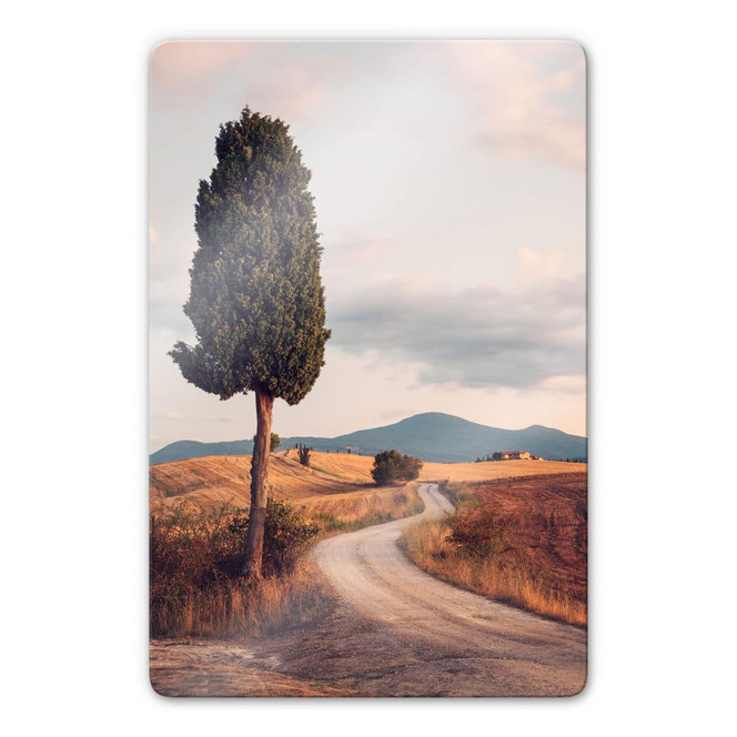 Glasbild Colombo - Zypressenweg