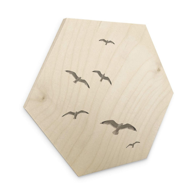 Hexagon Holzbild Möwen am Himmel