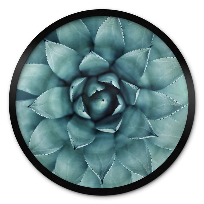Poster Agave 02 - Rund