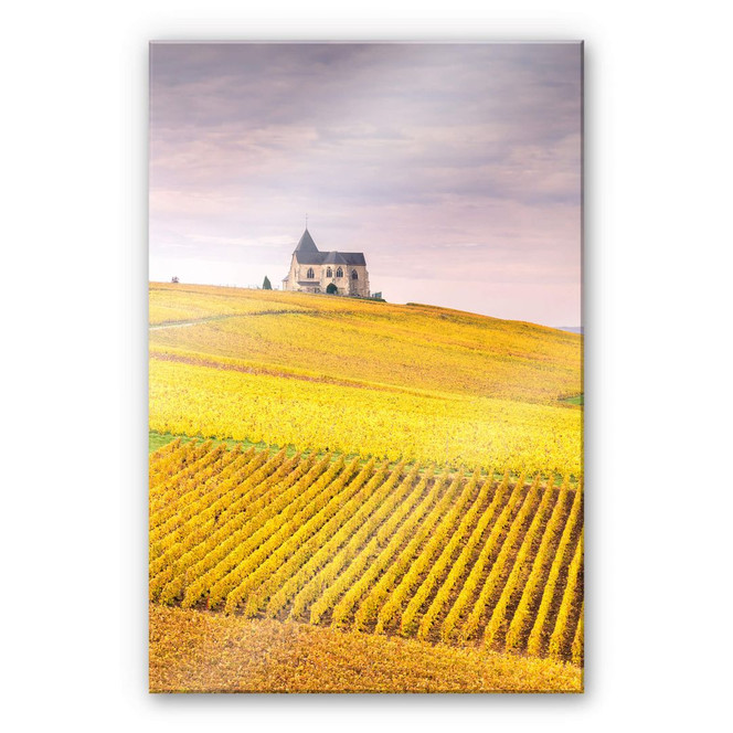 Acrylglasbild Colombo - Weinfelder in der Champagne