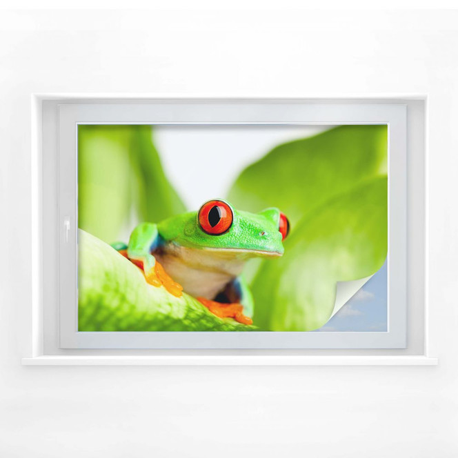 Sichtschutzfolie Knallfrosch