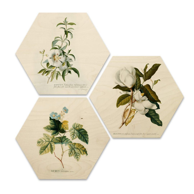 Hexagon - Holz Birke-Furnier - Ehret (3er Set)