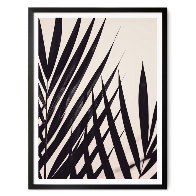 Poster 1X Studio - Schwarzes Palmblatt