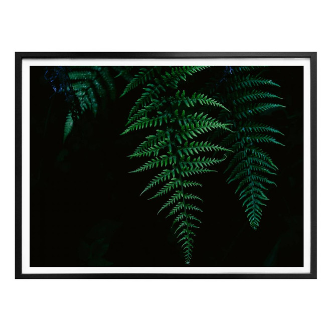 Poster Farn 03