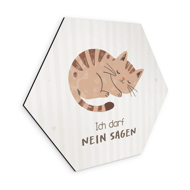 Alu-Dibond Hexagon mit Katze - positiver Spruch "Ich darf nein sagen"