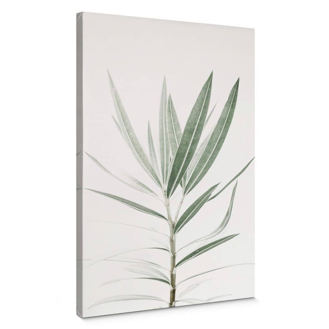 Leinwandbild Sisi & Seb - Oleander