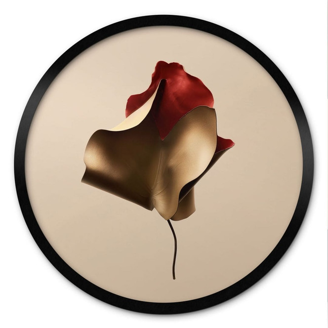 Poster Elegantes Blatt in Gold und Rot - Alma - Rund