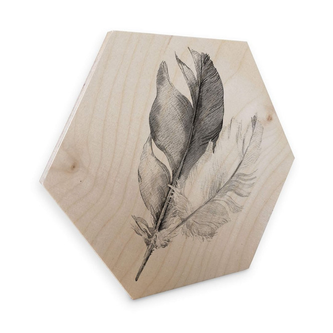 Hexagon - Holz Birke-Furnier - Federn