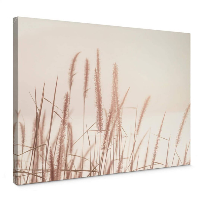 Leinwandbild Gräser am See