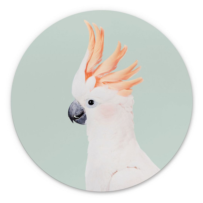 Alu-Dibond Tierporträt Rosa Kakadu - Sisi & Seb - Rund