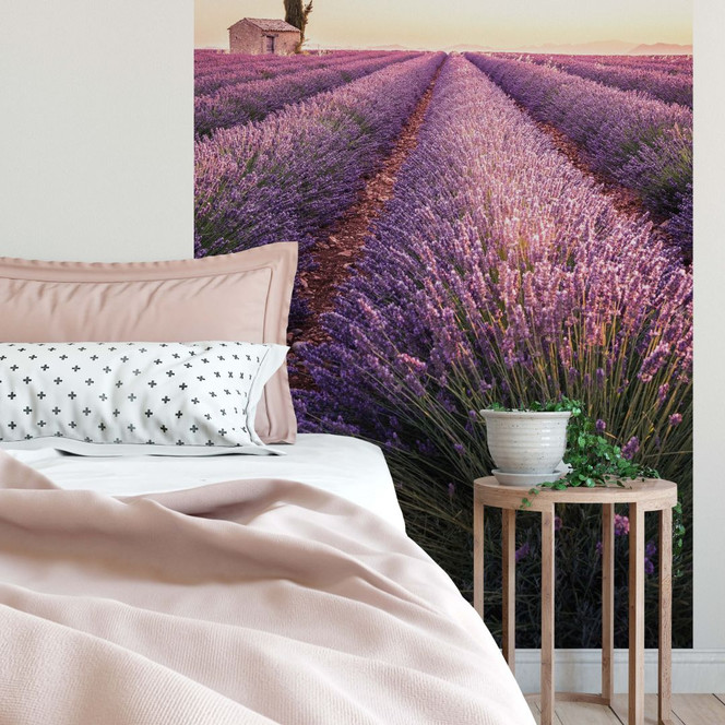 Fototapete Lavendula - 144x260cm - Bild 1