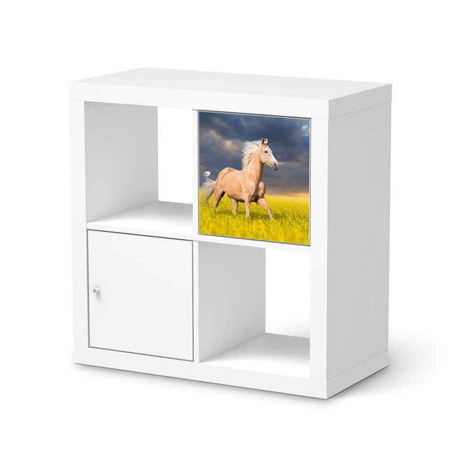 Klebefolie IKEA Expedit Regal Tür einzeln - Wildpferd- Bild 1