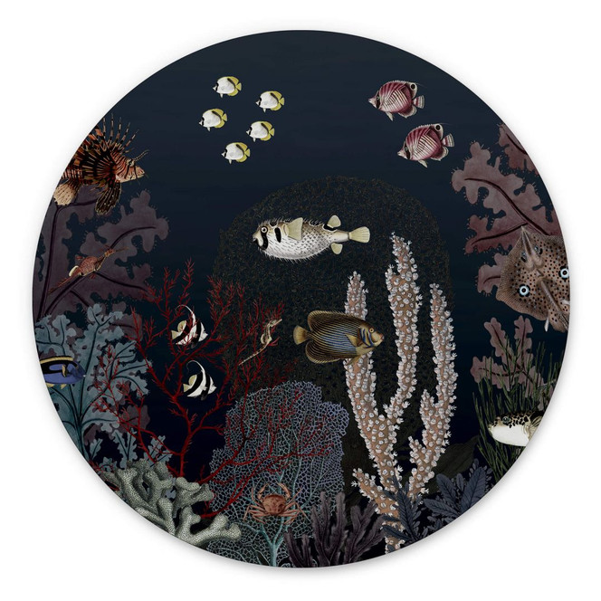 Wandbild Sir Edward - Tief im Ozean - Alu-Dibond Rund