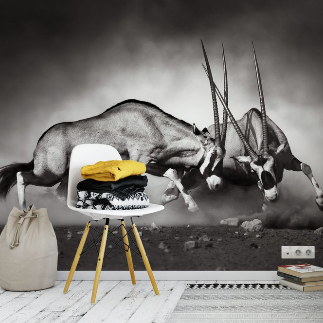 Fototapete - Das Duell - 384x260cm - Bild 1