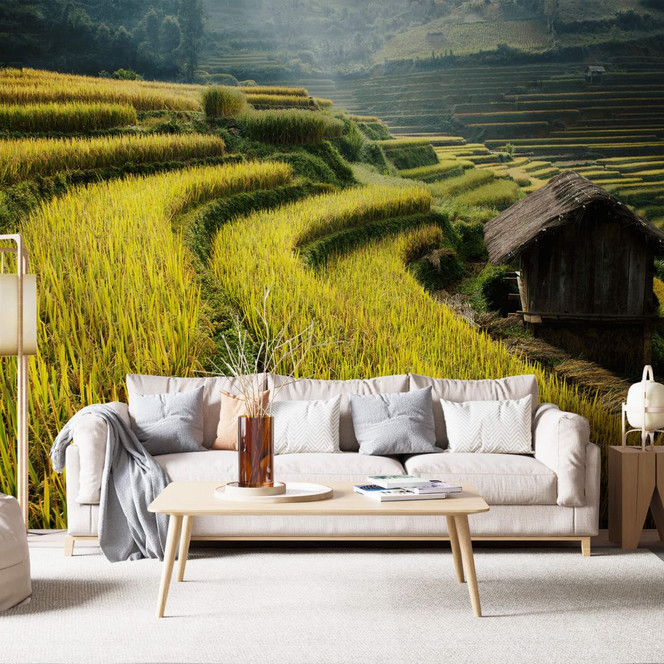 Fototapete Intarob - Reisfelder in Vietnam