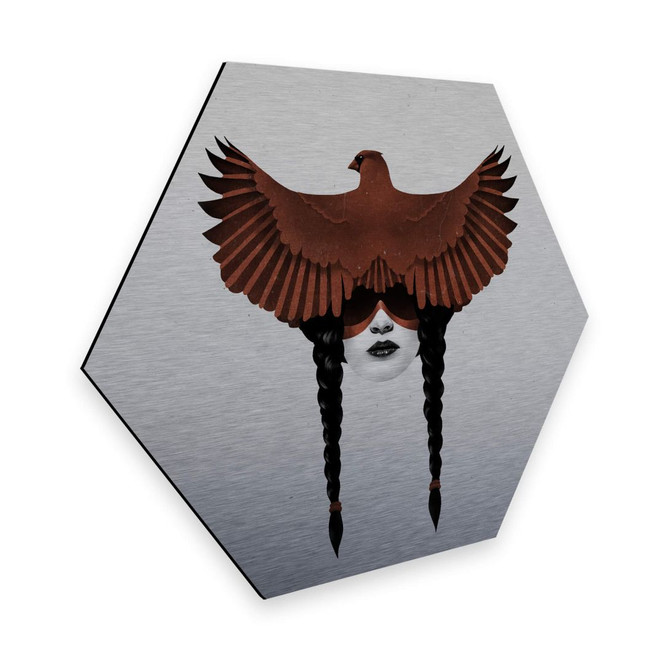 Hexagon - Alu-Dibond Silbereffekt Ireland - Dark Cardinal