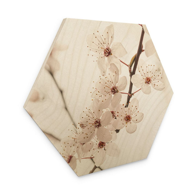 Hexagon Holzbild Zweig mit weissen Kirschblüten - Sisi & Seb
