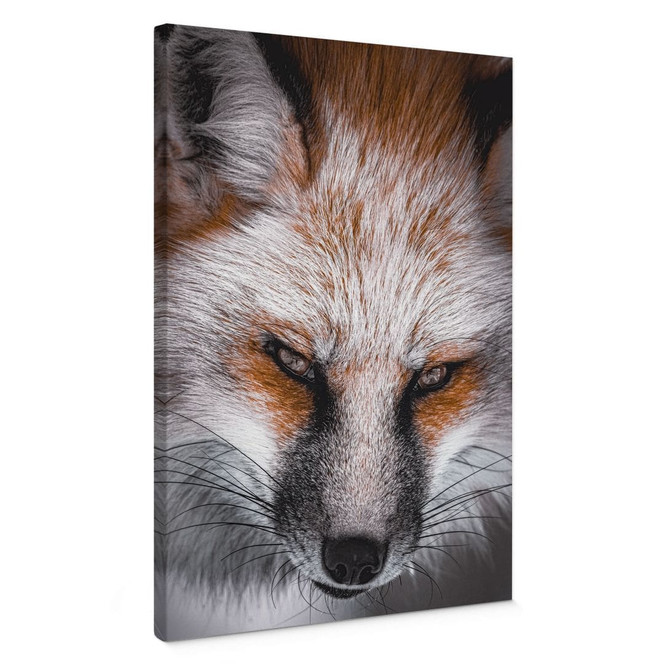 Leinwandbild Tierporträt Rotfuchs - Nagi