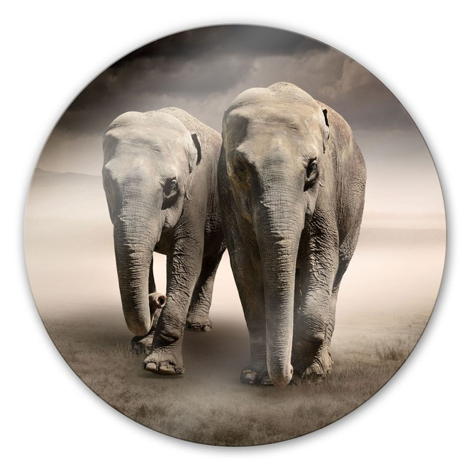 Glasbild Die Elefanten - rund