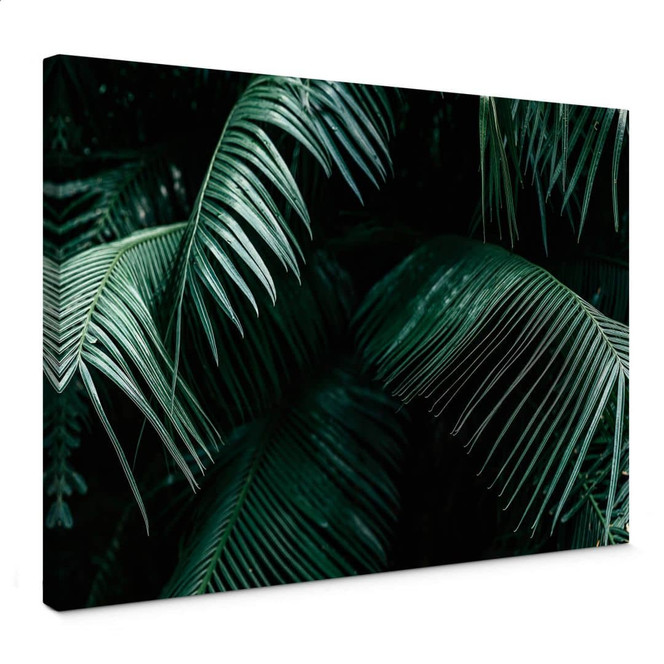 Leinwandbild Tropische Botanik