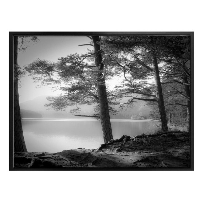 Poster Fuhg - Seeblick